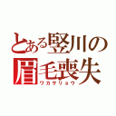 とある竪川の眉毛喪失（ワカサリョウ）