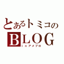 とあるトミコのＢＬＯＧ（ｉｎアメブロ）