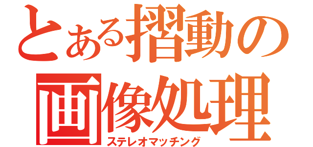 とある摺動の画像処理（ステレオマッチング）