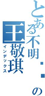 とある不明觉厉の王敬琪Ⅱ（インデックス）