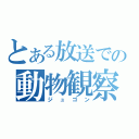 とある放送での動物観察（ジュゴン）