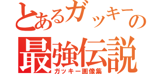 とあるガッキーの最強伝説（ガッキー画像集）