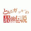 とあるガッキーの最強伝説（ガッキー画像集）