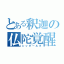 とある釈迦の仏陀覚醒（シッダールタ）