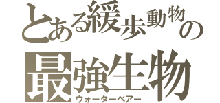 とある緩歩動物の最強生物（ウォーターベアー）