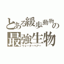 とある緩歩動物の最強生物（ウォーターベアー）