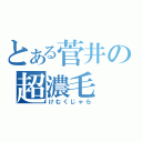 とある菅井の超濃毛（けむくじゃら）