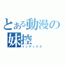 とある動漫の妹控（インデックス）