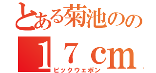 とある菊池のの１７ｃｍ（ビックウェポン）