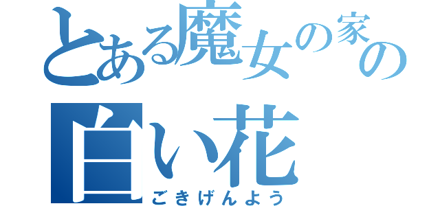 とある魔女の家の白い花（ごきげんよう）