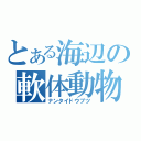 とある海辺の軟体動物（ナンタイドウブツ）