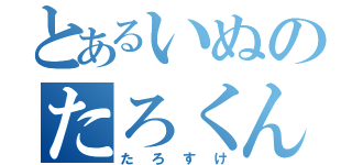 とあるいぬのたろくん（たろすけ）