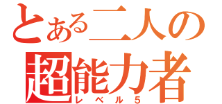 とある二人の超能力者（レベル５）