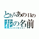 とあるあの日の花の名前（まだ知らない）