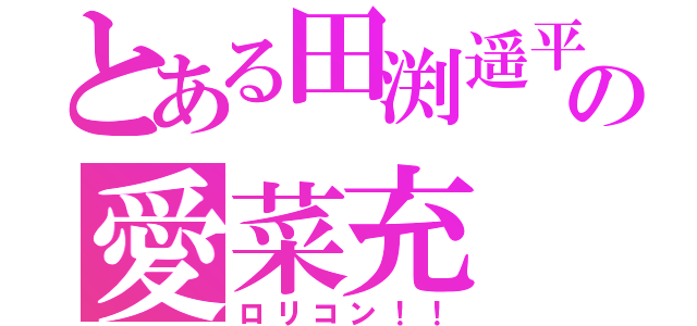 とある田渕遥平の愛菜充 ！！！！（ロリコン！！）