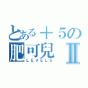 とある＋５の肥可兒Ⅱ（ＬＥＶＥＬ５）