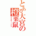 とある大宮の橙栗鼠（アルディージャ）