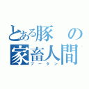 とある豚の家畜人間（ブータン）