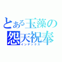 とある玉藻の怨天祝奉（インデックス）