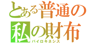 とある普通の私の財布（パイロキネシス）