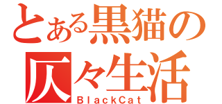 とある黒猫の仄々生活（ＢｌａｃｋＣａｔ）