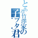 とある竹澤家の子ブタ君（甲造）