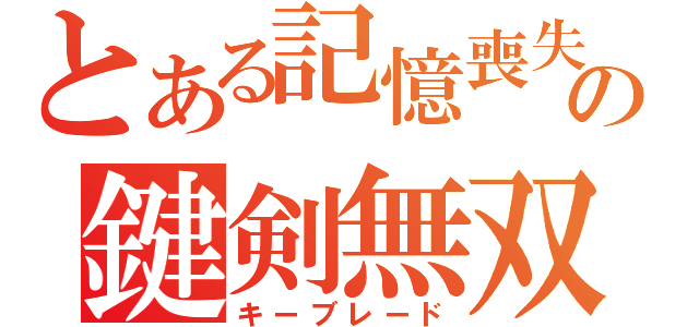 とある記憶喪失の鍵剣無双（キーブレード）