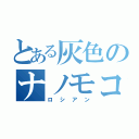 とある灰色のナノモコ（ロシアン）