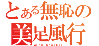 とある無恥の美足風行（Ｗｉｎｄ Ｓｎｅａｋｅｒ）