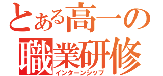 とある高一の職業研修（インターンシップ）