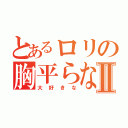 とあるロリの胸平らなⅡ（大好きな）