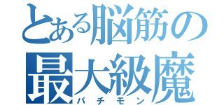 とある脳筋の最大級魔法（パチモン）