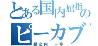 とある国内屈指のピーカブー（幕之内 一歩）