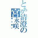 とある清澄の宮永咲（嶺上使い）