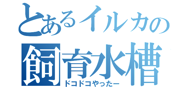 とあるイルカの飼育水槽（ドコドコやったー）