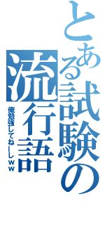 とある試験の流行語（俺勉強してねーしｗｗ）