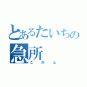 とあるたいちの急所（こかん）