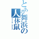 とある舞浜の人体鼠（ミッキーマウス）