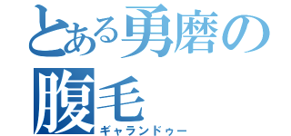 とある勇磨の腹毛（ギャランドゥー）