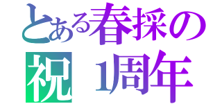 とある春採の祝１周年（）