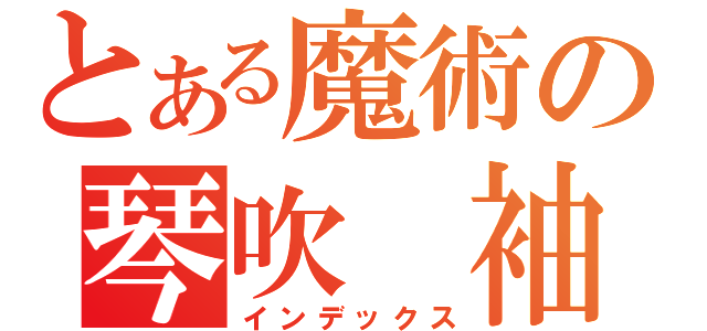 とある魔術の琴吹　袖（インデックス）