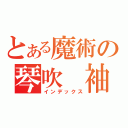 とある魔術の琴吹　袖（インデックス）