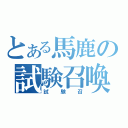 とある馬鹿の試験召喚戦争（試験召）