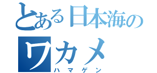 とある日本海のワカメ（ハマゲン）