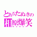 とあるたぬきの相原爆笑（わらわら）