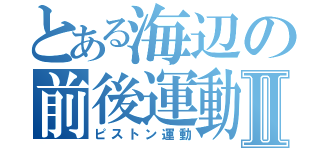 とある海辺の前後運動Ⅱ（ピストン運動）