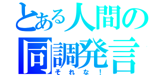 とある人間の同調発言（それな！）