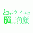 とあるケイゴの逆三角顔（カマキリ）