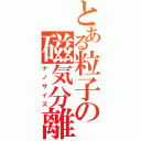 とある粒子の磁気分離（ナノサイズ）