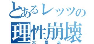 とあるレッツの理性崩壊（大暴走）